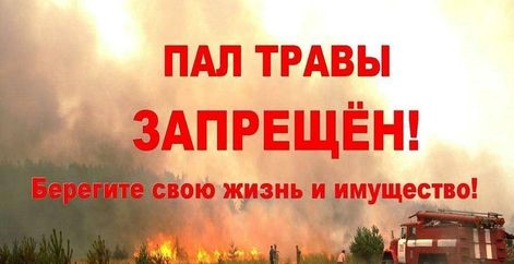 Пал травы  запрещен!