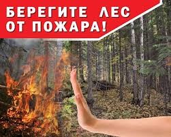 Берегите лес от пожара